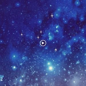 Meet your Posher, Zoe